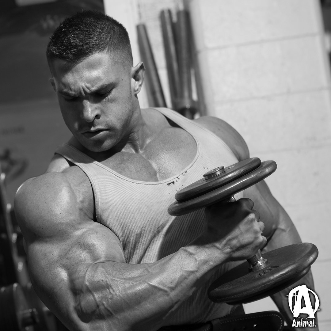 Animalpak's tweet photo. Life is too short to live without passion. If you’re going to do anything in life over the long haul, you have to be truly passionate about it. It should be the thing that makes you look forward to Monday morning and hop out of bed before the alarm. https://t.co/OzzrHY82c6