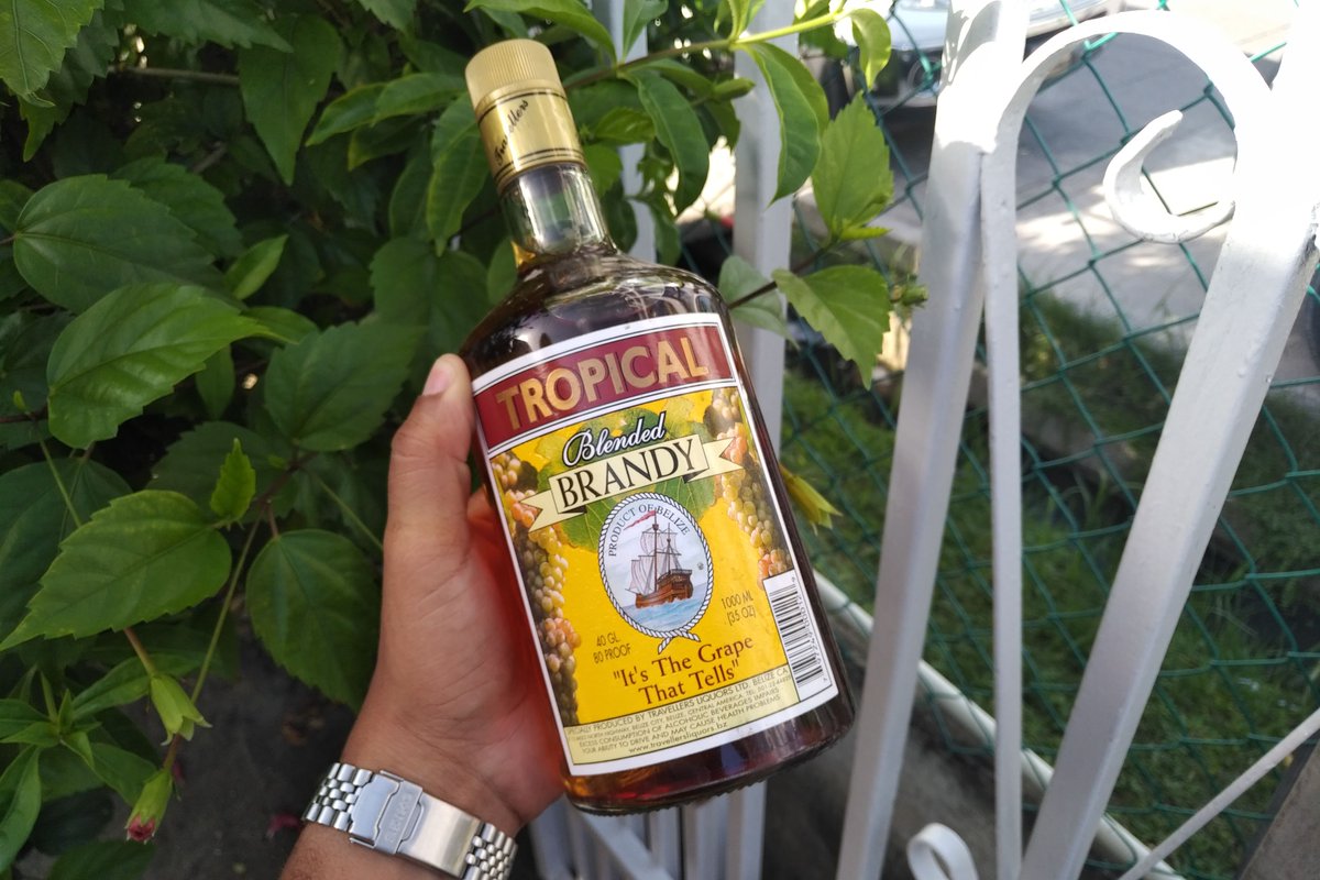 OneBarrelRum's tweet photo. Tropical Brandy is tasty!

LOCAL TIP: 
Local Belizeans enjoy Travellers Tropical Brandy with milk on the rocks.  

Follow Travellers on facebook @ https://t.co/RMTkyqS9cv

Discover the great coconut rum available @ https://t.co/KQJnU6nqDQ #Belize https://t.co/g10d6y2qhu