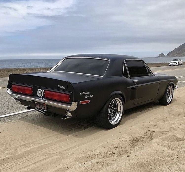 California Special 😎🌴 #mustang #fordmustang #ford #mustanggt #mustangs #mustangfanclub #mustanglovers #fordnation #stang #sexystangs #stanggang #musclecar #americanmuscle #blackmustang #carphotography #ponycar #carphotography #automotivephotography #car #v8 #californiaspecial