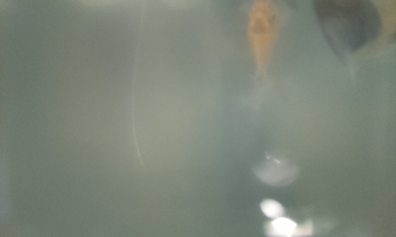Hello World!