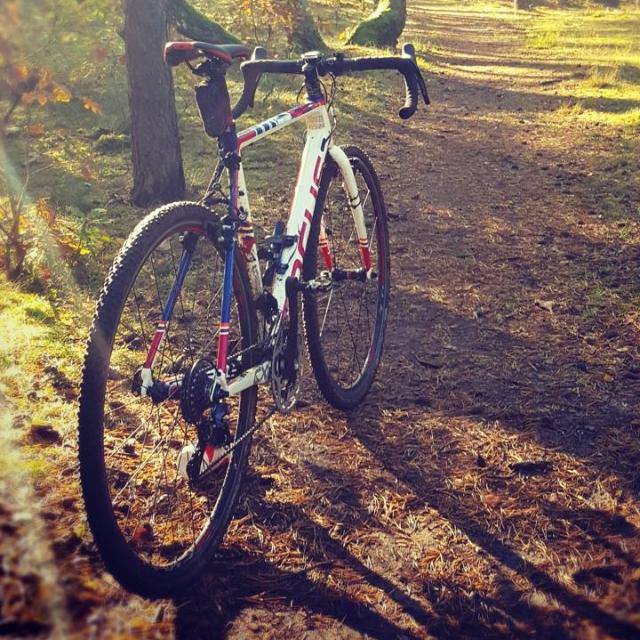 BiNaRai0891's tweet photo. A day in the forest
#FindYourselfInNature https://t.co/z67bGafoq1