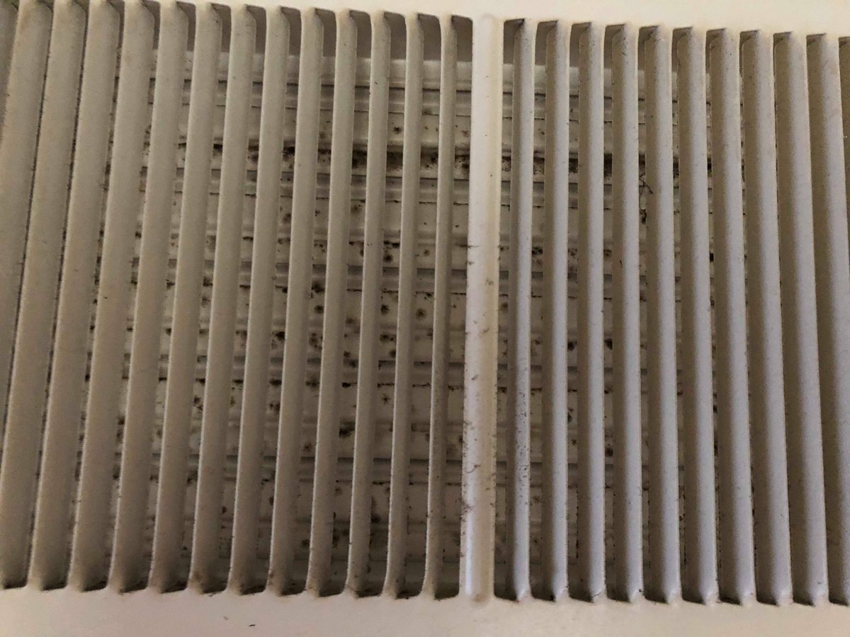 RachelAFHA's tweet photo. This family is currently breathing in air in a mold invested house with no solutions in sight! This is an air vent in their home at #FortMeade. Why is this acceptable living conditions? @Call_Me_Dutch what can you do to help? #corvias #toxicmilitaryhousing #MHPI #NDAA https://t.co/sQgA4helKx