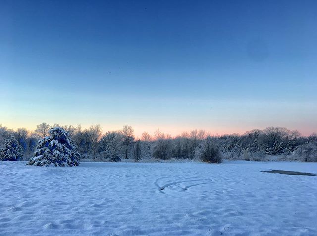 rocketjam's tweet photo. #winter #okc #oklahoma #okwx #viewfrommybackyard https://t.co/wpH31WNsir https://t.co/wH37NWNBbf
