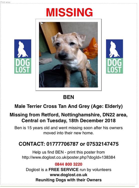 rosiedoc666's tweet photo. #missingBen twitterstorm 4/1/19 8-9pm let's find this gorgeous little man 🐾🐾
18/12/18 they've done extensive searches, drones have been out NOTHING #Retford #Nottinghamshire
‼️LOCALS PLS HELP‼️ https://t.co/Bs1YwA1VVU