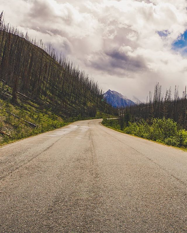 The path to beauty @ Jasper National Park 🇨🇦🏞️. #jaspernationalpark #malignelake #alberta #canada #mountains #clouds #lake #rockies #jasper #banff #trees #nature #explorecanada #sony #a6000 #photography #BeAlpha #paradisecanada #roamtheplanet #imagesofca… bit.ly/2SHbRU0