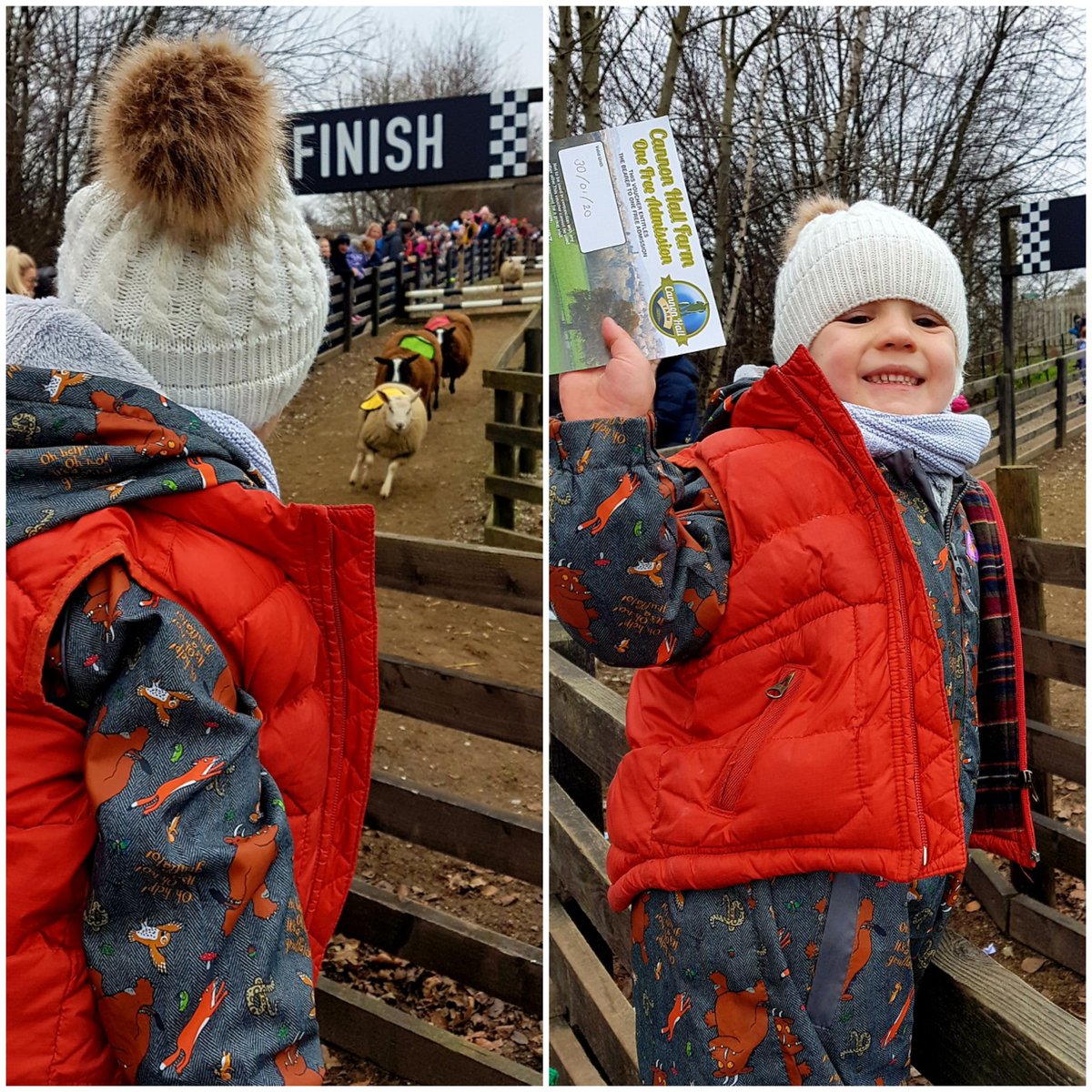 katiecakes9's tweet photo. First family day of the new year at one of our favourite places @CannonHallFarm and we won on the sheep racing, see you again soon #FamilyTime #sheepracing https://t.co/dapvuC0gRO
