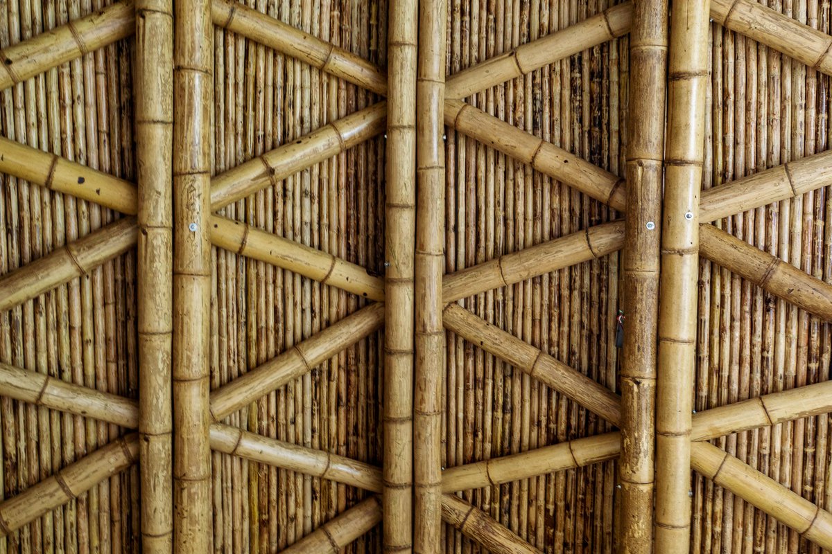 Don't forget to look up! Guadua, or #bamboo is grown locally in #Colombia. As an incredibly strong and versatile building material we're using it to build our private #cabañas. Discover more here: bit.ly/Cannua-Rooms
