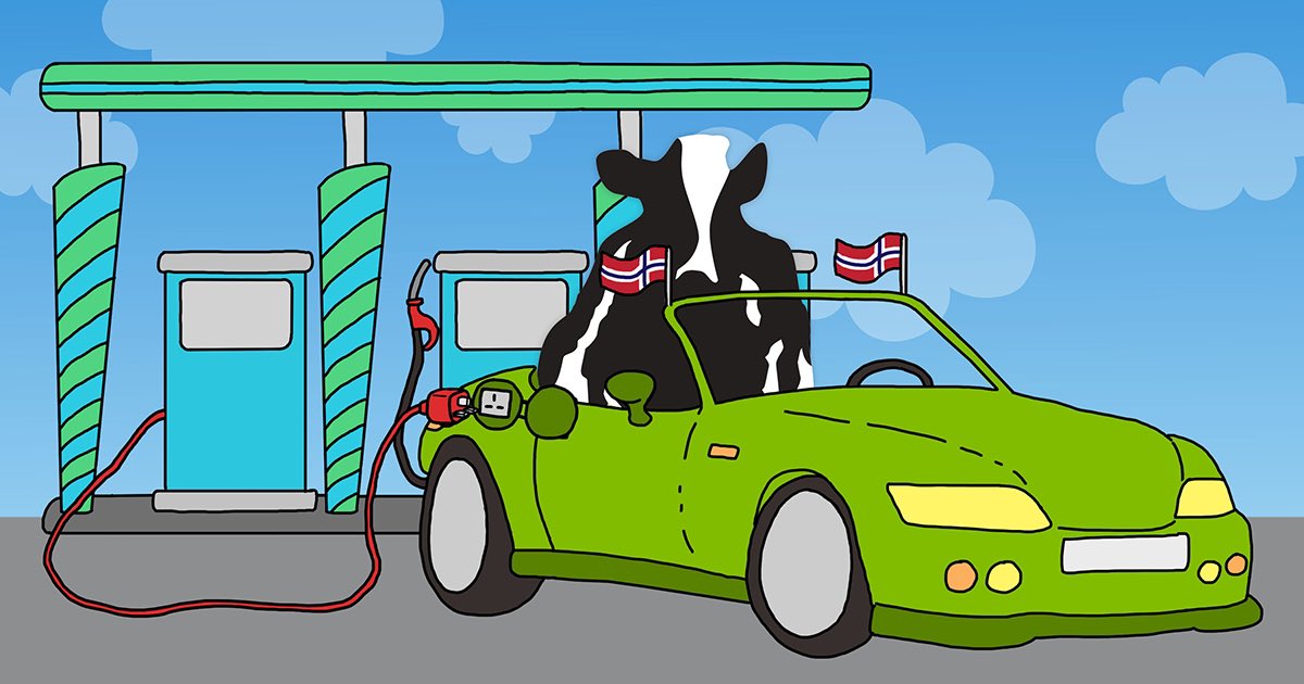 MrsDMorrow's tweet photo. Electric 🚗 car has run out of charge AGAIN!!! Friday nights are not for waiting for your husband to charge the car at the local dairy farm!  ☹️☹️ #tech #ElectricCars #morerange #chargingpoints. @Invest_LCCC needs more #charging points! @NissanUK #leaf https://t.co/qgokvvZ3VM