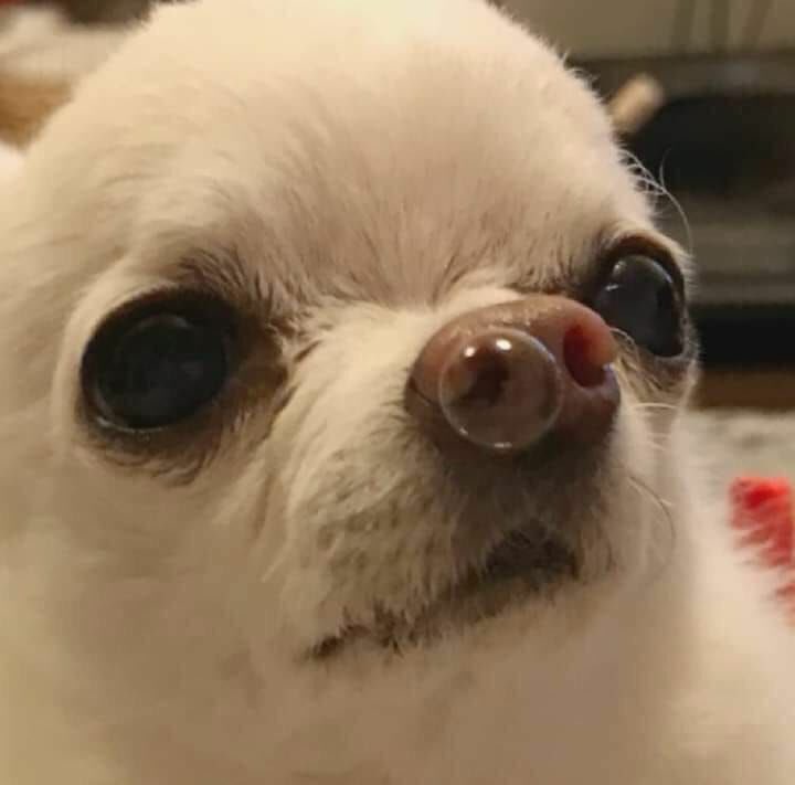 writing an eclipse post