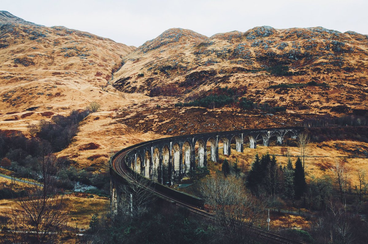 Daniel Casson tweet media