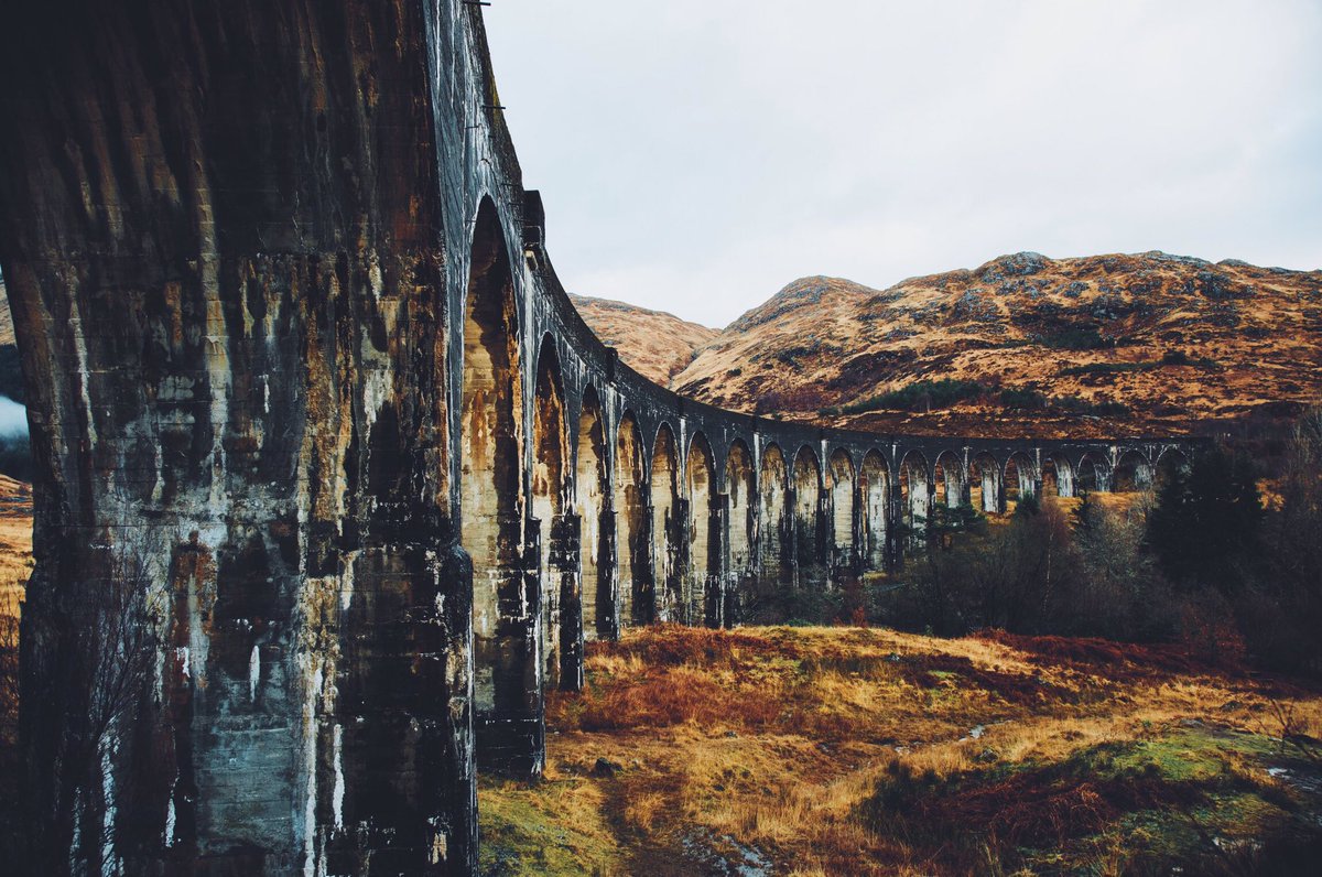 Daniel Casson tweet media