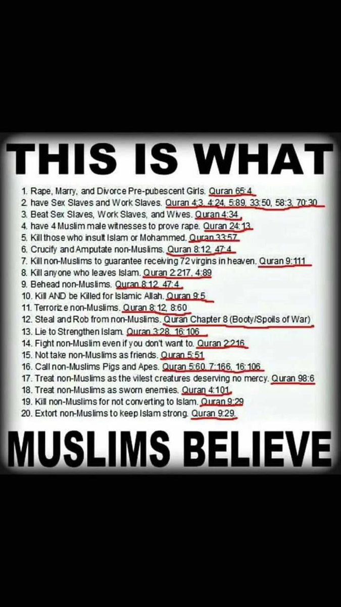 dana_umbel's tweet image. @RashidaTlaib #AmericaFirst! #AssimilateorLeave! #JustLeave!