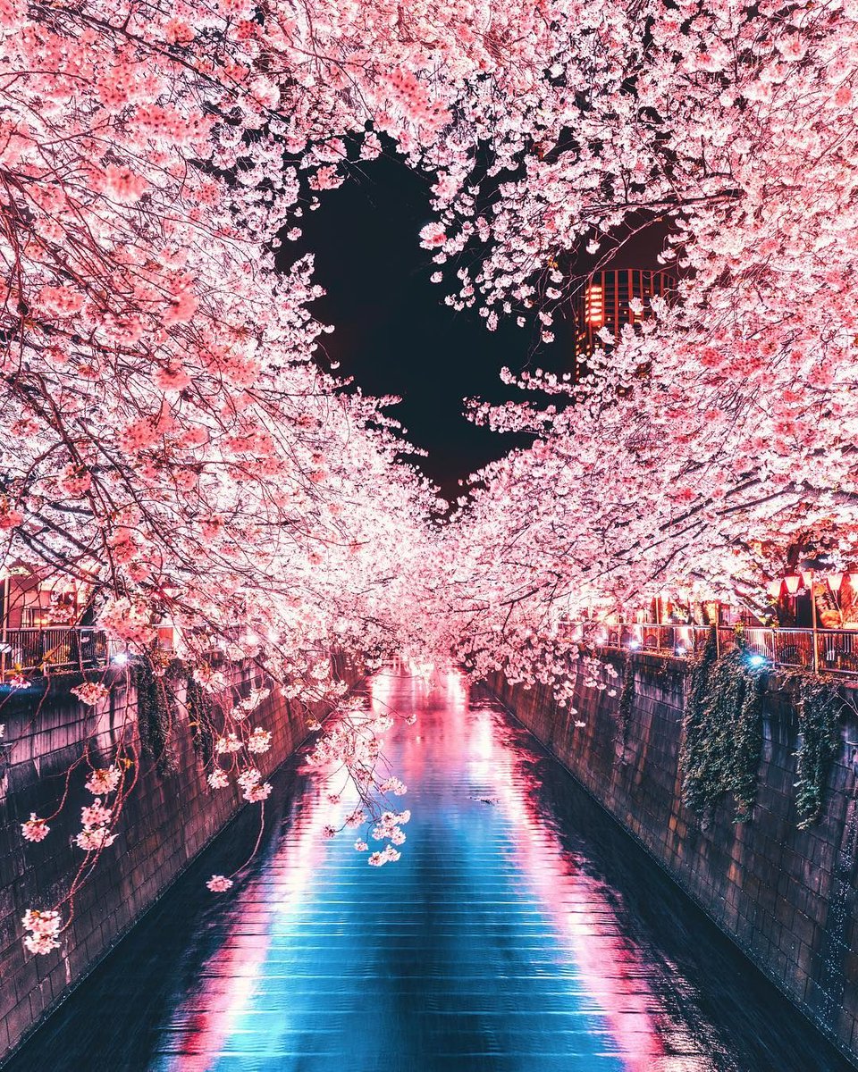 Tokyo, Japan 🇯🇵