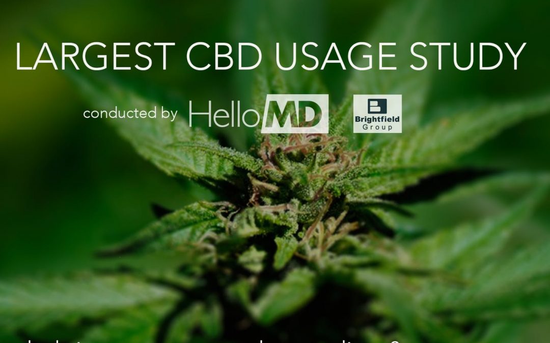 Hempori_dfw's tweet photo. 42% of CBD users stopped using traditional medications and now use cannabis instead.
#dfw #cbd #dfwcbd #hempori #cbdoil #hemp
https://t.co/PK2rhqVgQR https://t.co/sFwGxOCeRu