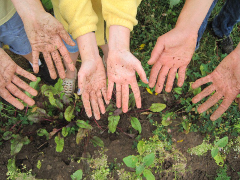 riverviewgardns's tweet photo. You Did it! 🎉 - https://t.co/vE5KF7OTjs
With grateful hands, we thank you! Because of your generosity, we exceeded our $20,000 match challenge from the Wallace Family Foundation. https://t.co/dv9jstZ0mo