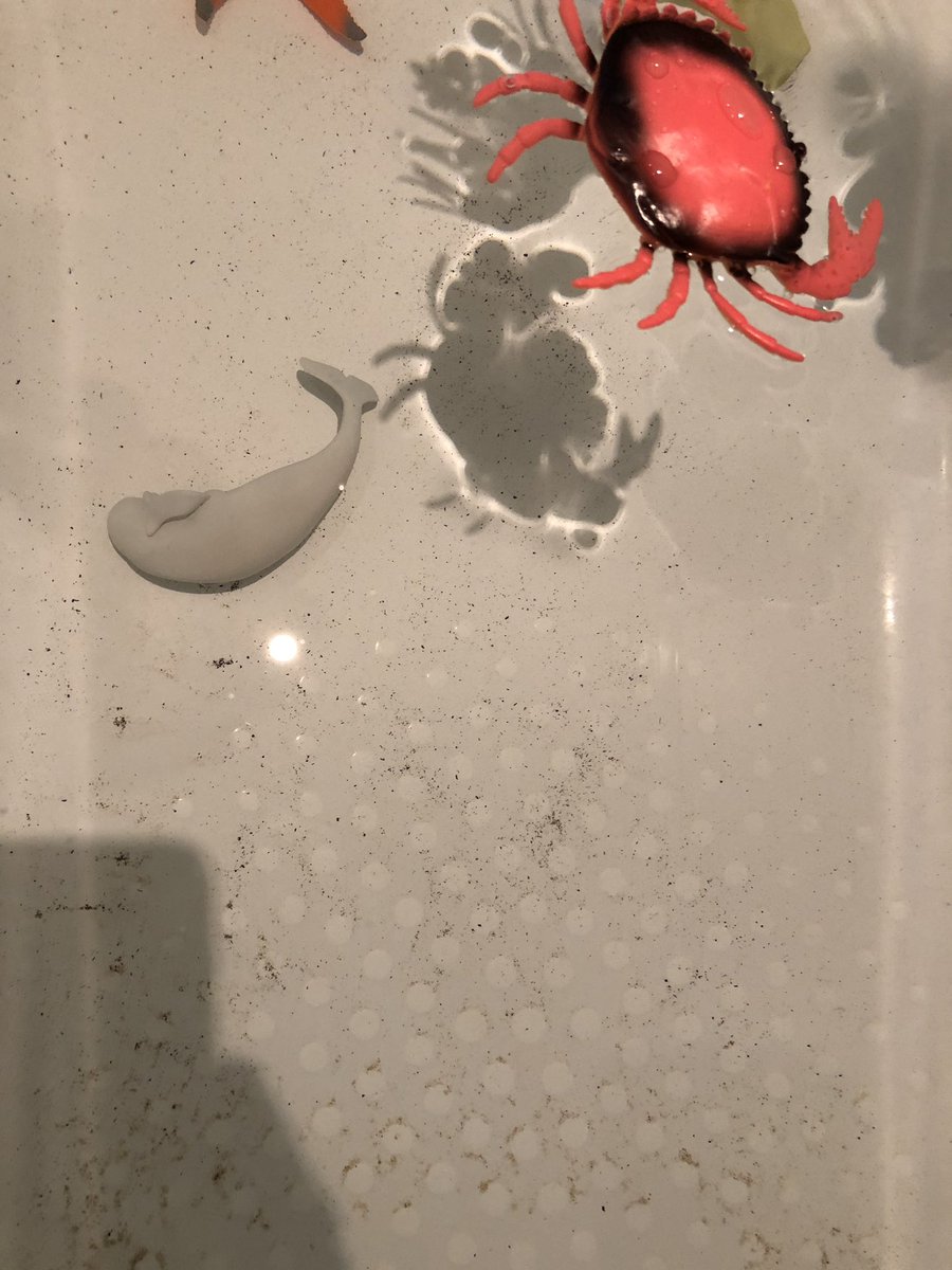 itsbraybrooke's tweet photo. @AnglianWater It might not be harmful but it’s not that appetising. I just filled the bath to wash the kids. I think they will be dirtier when they come out. https://t.co/2O4gKr1vW1