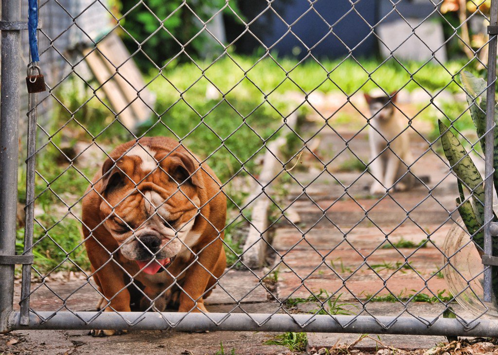 Paco Tormo tweet media