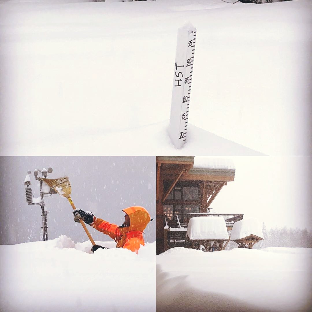 #ICYMI this is happening right here, right now ❄️❄️❄️

Multiple storms have left many of the lodges freshly blanketed in up to 150cm (5 FEET) of deep blower pow within the last week.

We're open through April.

Get some cmhheli.com

#BC #skiing #heliskiing