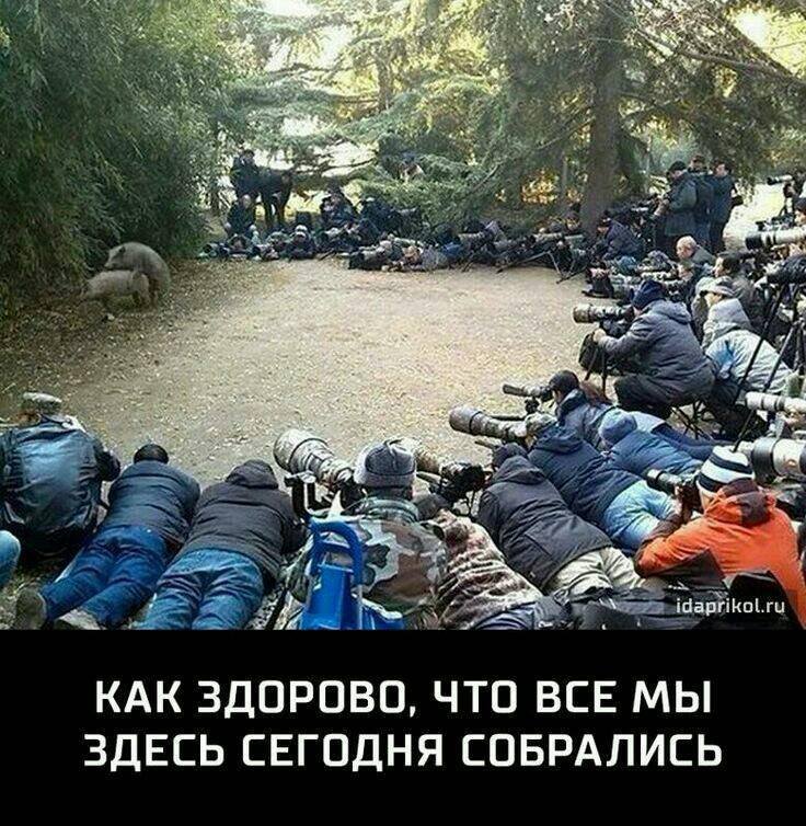 Смешные картинки мы здесь сегодня собрались