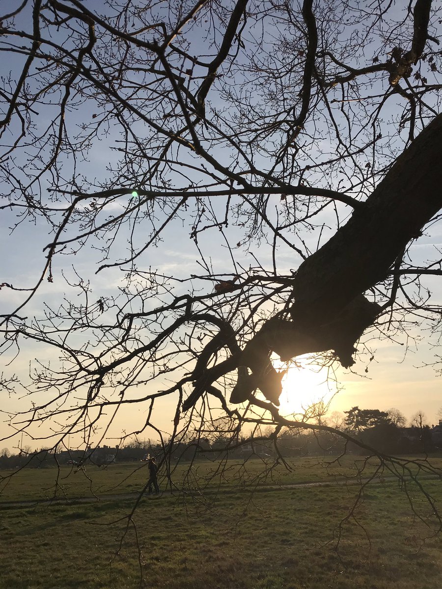 Stuart720's tweet photo. Wombling on Wimbledon Common https://t.co/MkZ2ZzggJu