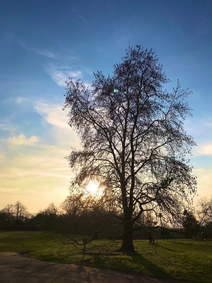 Stuart720's tweet photo. Wombling on Wimbledon Common https://t.co/MkZ2ZzggJu