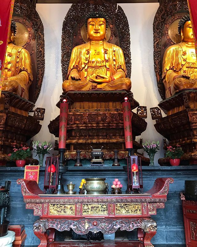 erfigh's tweet photo. Jade Buddha Temple (Shanghai). #shanghai #jadebuddhatemple #china #china🇨🇳 #china2018 #traveling #travelers #travelbug #travelholic #travelgram #travelinggram #travelphotography #exploring #explorer #wanderer #wanderlust #doyoutravel #goexplore #travelmo… https://t.co/shUG6kpfAA https://t.co/1B6YSBgbya