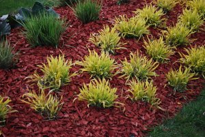 TrimlawnLand's tweet photo. Because traditional mulch breaks down over the course of a year, it is vital to re-apply it annually, and spring is a prime time to do so.

Visit our website today -----> https://t.co/Ec4AHCEEC8 https://t.co/PSCEIyP3P1