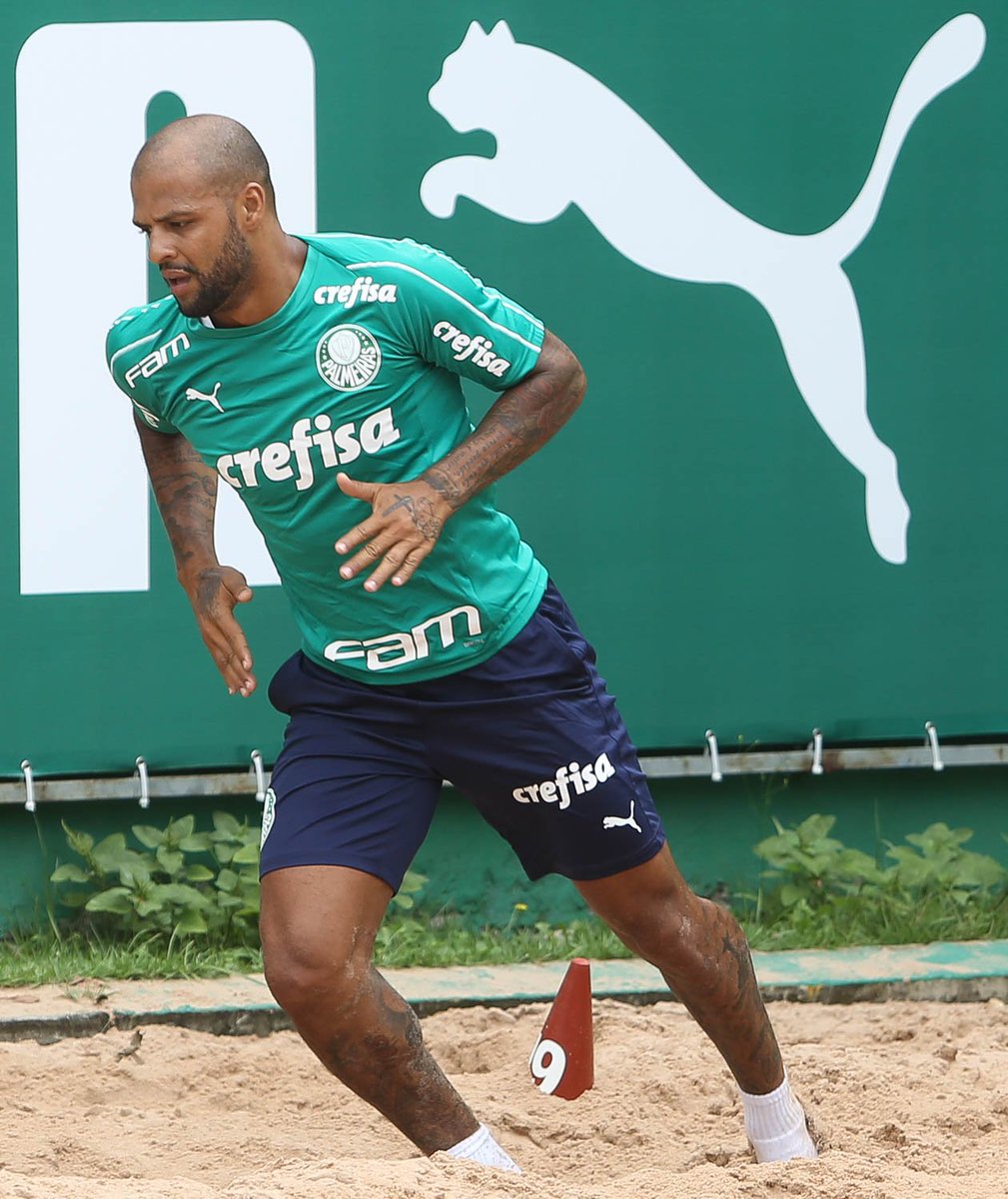 Palmeiras's tweet photo. Puma é flagrado atacando Pit Bull durante o treinamento na Academia de Futebol 😂

#DiaDeTreino #AvantiPalestra https://t.co/Qk43eBGRHF