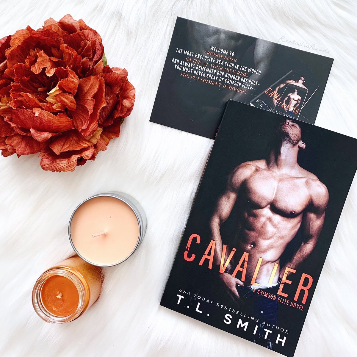 RentasticReads's tweet photo. โHeโs like heaven and hell wrapped in a package that was made purely for me.โ
REVIEW: #Cavalier (Crimson Elite, #1) by @LsmithT
๐ https://t.co/1I1Sg4DIla
๐๐ผ https://t.co/qg7RX4vUdR
#5Stars #MustRead #CrimsonElite #TLSmith https://t.co/NX2ia9fZkV