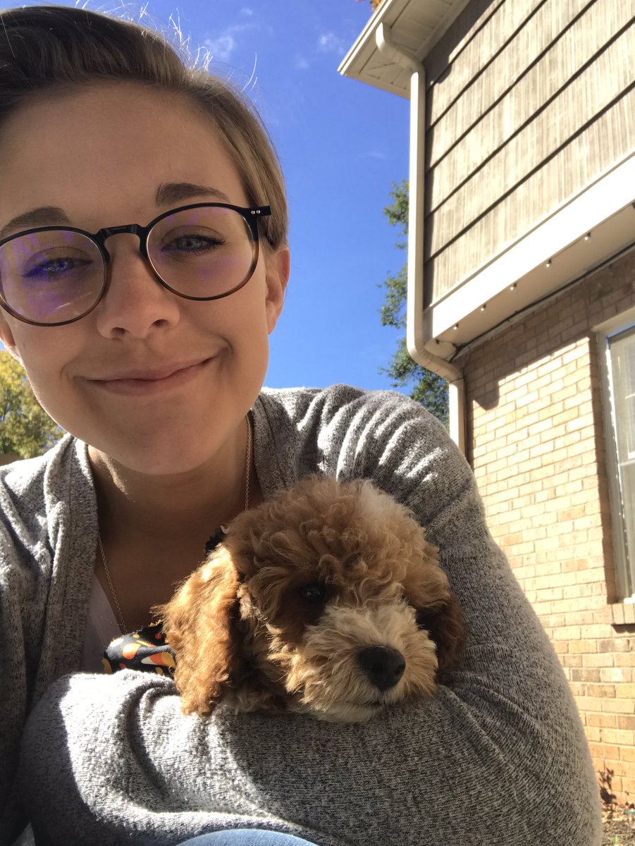 mxggieclairee's tweet photo. @babygirIzx added my puppy for extra happiness https://t.co/17fJIWud3z