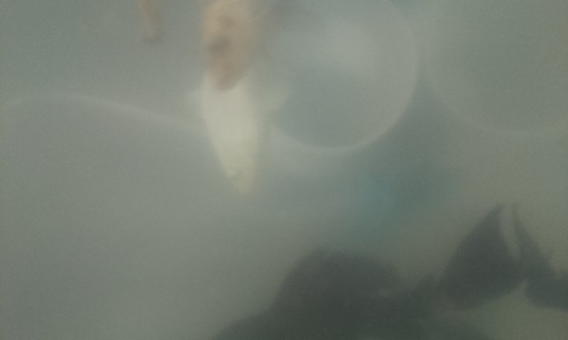 Hello World!