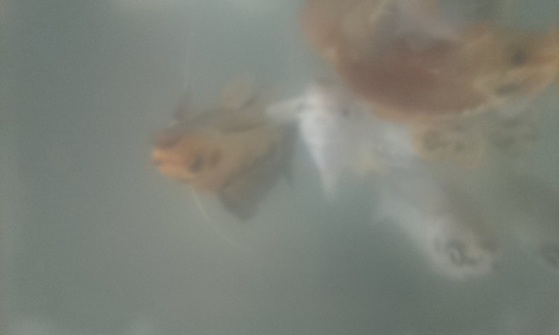 Hello World!
