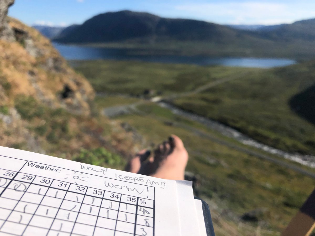 VVandvik's tweet photo. *Please RT!* Fully funded 3-4 year #postdoc open to work on data and syntheses from >10 yrs of #Macroecological #GlobalChange #Experiments @uib Western #Norway: #Plants #Ecology #Ecosystems #Interactions #Biodiversity @funcab_uib #BetweenTheFjords https://t.co/FeIff4i0SQ https://t.co/N0na97l0TV