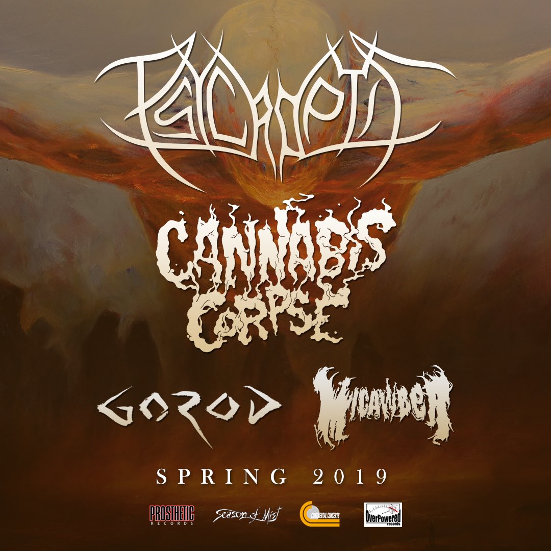 ProstheticRcds's tweet photo. U.S. 2019! #PSYCROPTIC wsg @CCannabisCorpse @gorod_dm &amp; label mates @MicawberMetal!!! 
PSYCROPTIC - As The Kingdom Drowns 
Out now! https://t.co/fZXw46qFDD https://t.co/PropBnS8fi