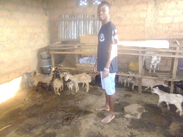 halbanny's tweet image. ebafosa innovative volunteerism is about ensuring  gender equity, women and youth economical empowerment, 
#thisIs #Ebafosa #InnovativeVolunteerism 
@RichardMunang 
@EbafosaTogo