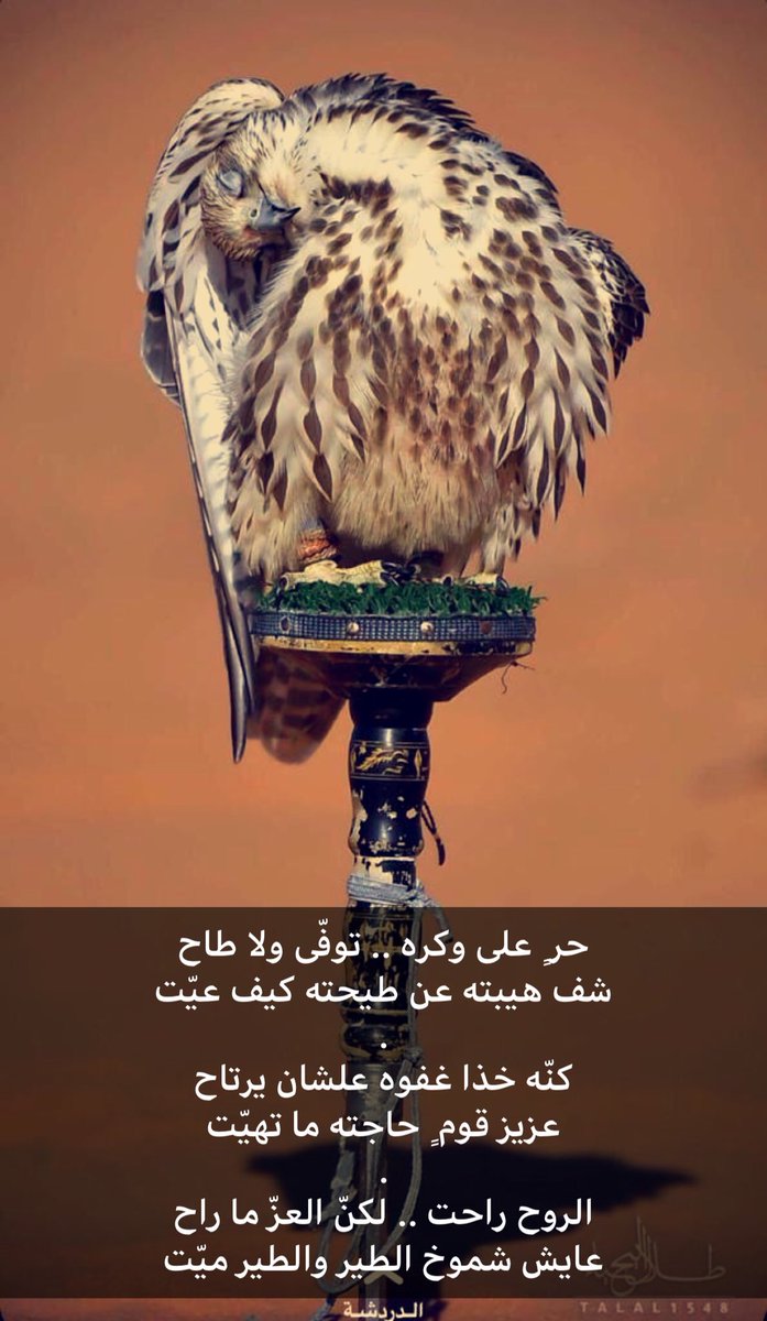 sad_992's tweet photo. حر ٍ على وكره .. توفّى ولا طاح
شف هيبته عن طيحته كيف عيّت
.
كنّه خذا غفوه علشان يرتاح 
عزيز قوم ٍ حاجته ما تهيّت
.
الروح راحت .. لكنّ العزّ ما راح
عايش شموخ الطير والطير ميّت https://t.co/PLojmtoS5w