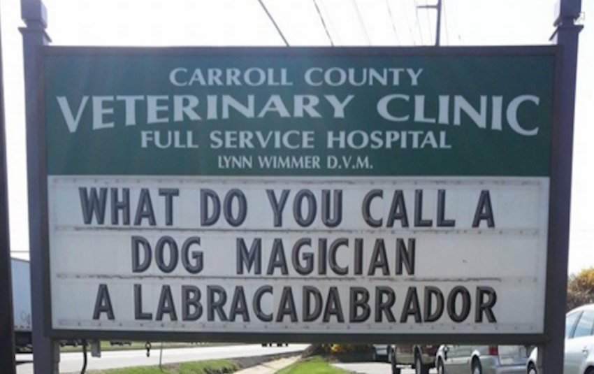 FASTSIGNS286's tweet photo. He's very impressive! #FunnySign https://t.co/e0tOZFIxFh