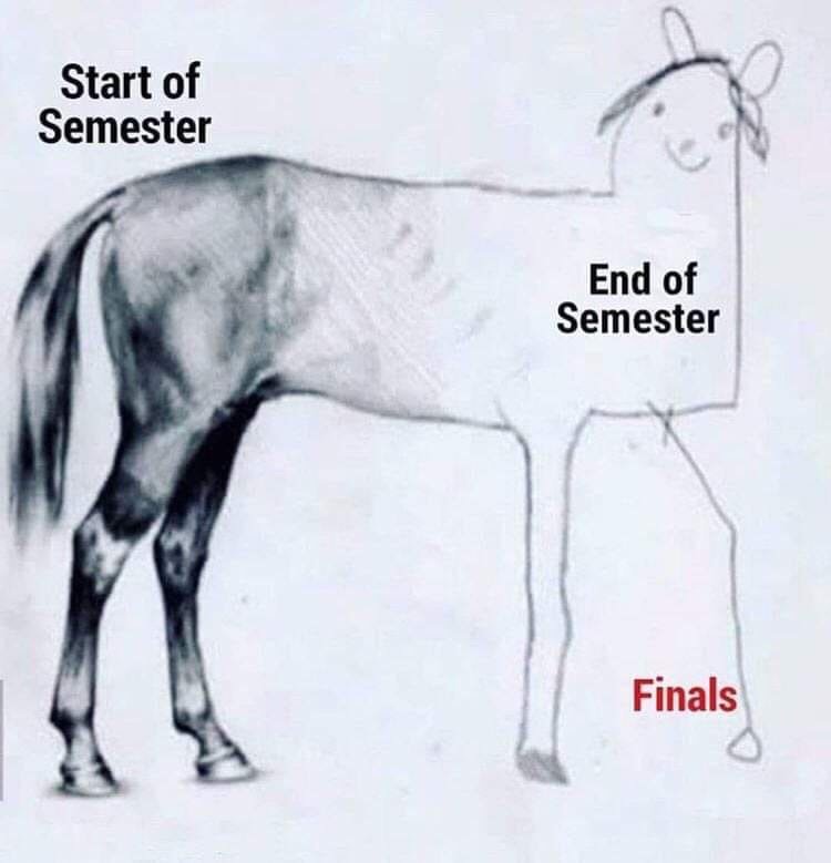 Divinely_B's tweet photo. With school in 9 days, this will be on my vision board so I will not end up looking like this! 😂😂 I want to end like I started! 😩

#schoolvacay #PhD #Motivation #majestichorse #semesterwishesanddreams #gettingmymindright #visionboard https://t.co/yfBkfhMKST