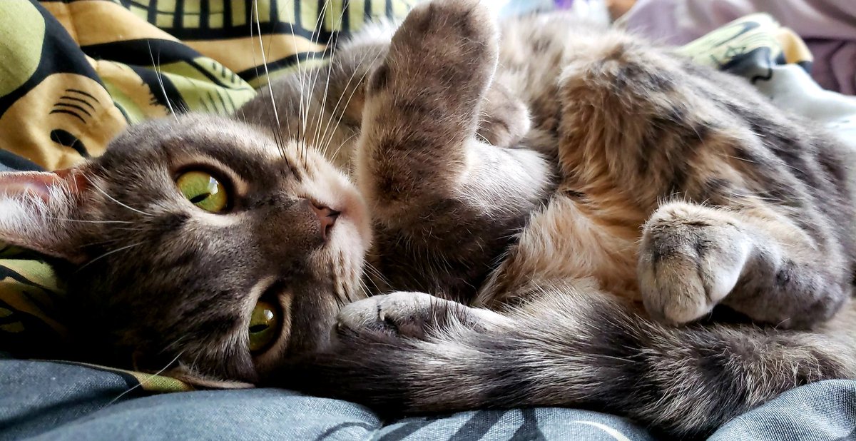 nsftumblr's tweet photo. just chillin, killin https://t.co/dHXTXlGPvV