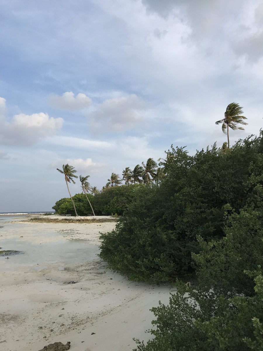 You could be here on your next vacation.
Send your requests forr booking to moodhumaainn@gmail.com or call (+960) 9955446/7941127
#Maldives #Guraidhoo #VisitGuraidhoo