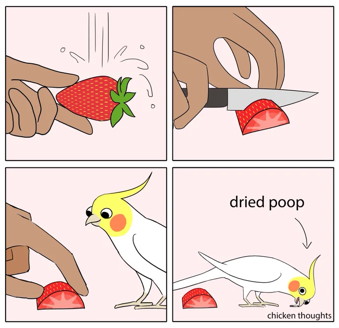 #birb 