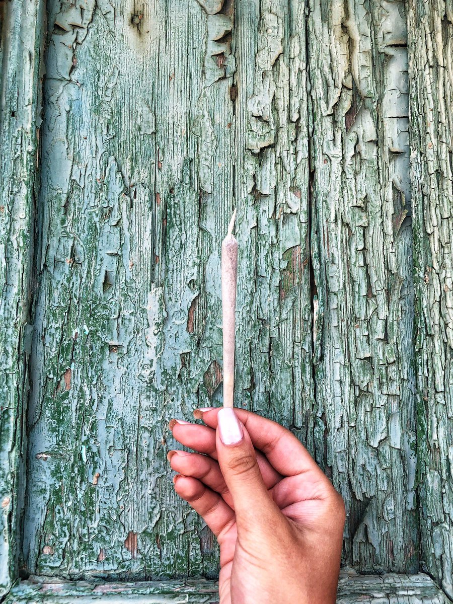 PuffinPaperClub's tweet photo. Who else is needing a holiday from the holidays?🙄🌬
#puffinpaper #hemp #purehemp #hemppapers #rollingpapers #smokingpapers #uksubscriptionbox #ukcannabiscommunity #ukcannabissocialclubs #ukcannabis #ukdank #uk420 #ukloud #ukstoner #stoned #stonergirls #stonedgirls #smokeweed https://t.co/PT3lAIghUw