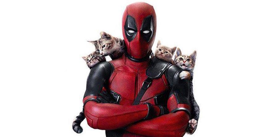 "Look at all this pussy."