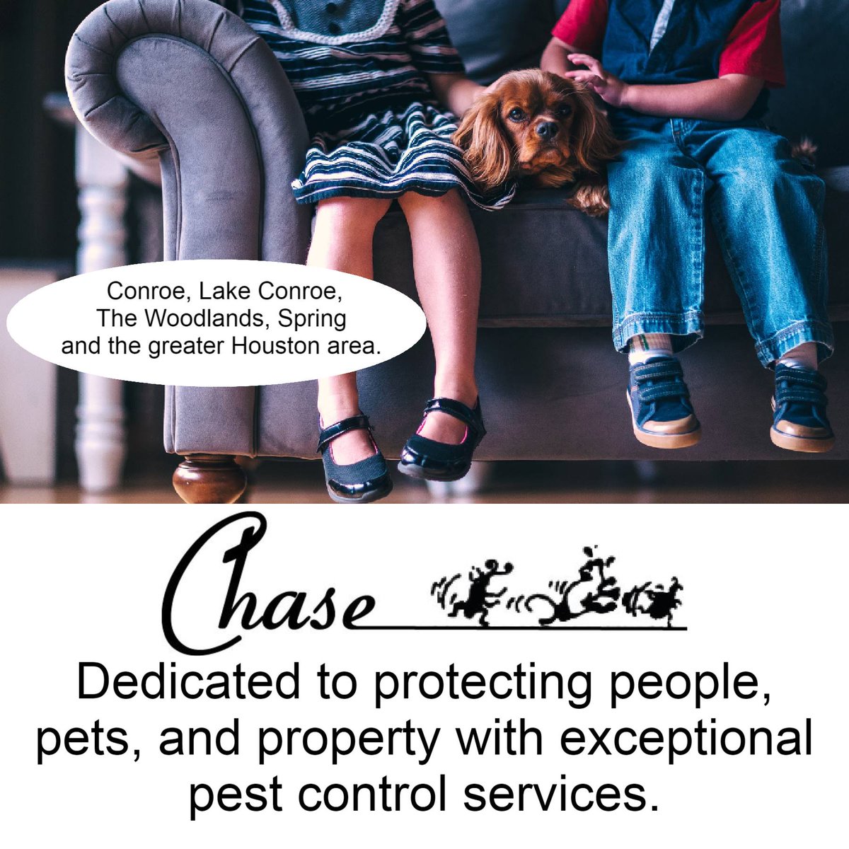 ChasePestContro's tweet photo. We have the best technicians around!
 (936) 441-2847 or (281) 296-2847 
#PestControl https://t.co/5jsKnVCzk1