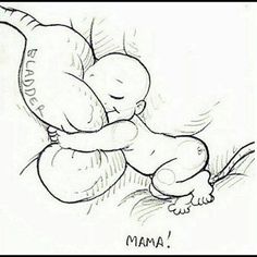 shared_concept's tweet photo. What every pregnant lady feels like at some point!
#surrogacy #sharedconception #surrogatemother #parenting #pregnancy https://t.co/8hBtYdflyc