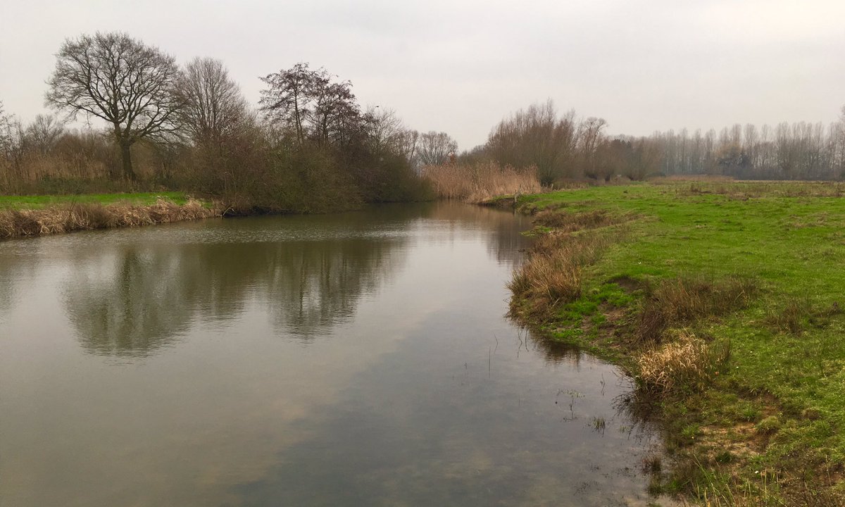sjorsdekort's tweet photo. Was vandaag bij één van de oude afgesneden Dommelmeanders “Hoefijzer” tussen Olland en Kasteren. Beemden nog begrensd door steilranden. Aardkundig waardevol. @Brab_Landschap #dommeldal #winterrust https://t.co/5RwlZxAuyp