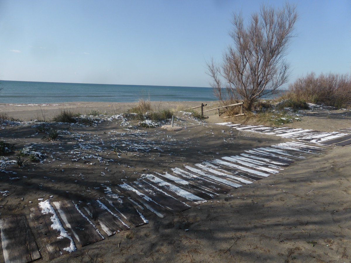 AllaDogana's tweet photo. Fine inverno 2018 #AllaDogana #capalbio #maremma #toscana #beach https://t.co/vWzwmxNOPP