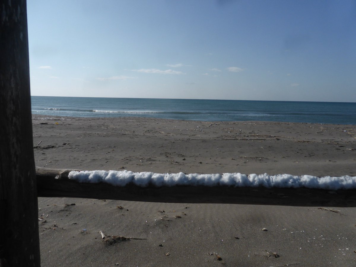AllaDogana's tweet photo. Fine inverno 2018 #AllaDogana #capalbio #maremma #toscana #beach https://t.co/1bPpyTKukI