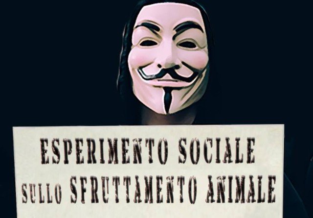 Attivisti di Anonymous tornano sul lungomare con i video shock dei maltrattamenti agli animali - Latina 24ore.it
crwd.fr/2vDoc37