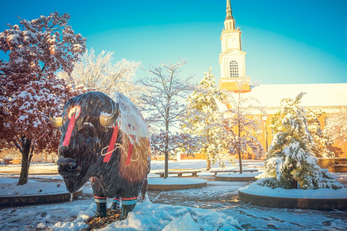 obunews's tweet photo. Snow on Bison Hill ❄️ https://t.co/OwmivbAnP5